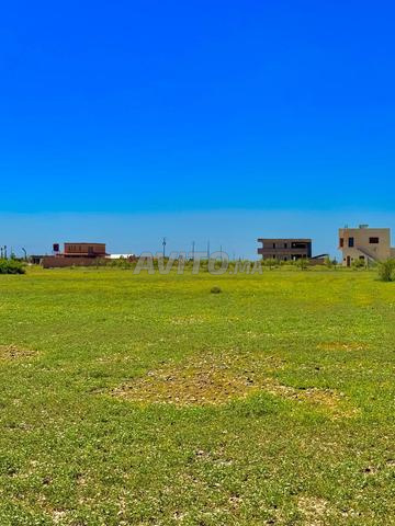 أرض بمساحة هكتار مرخصة للفيلات - 2