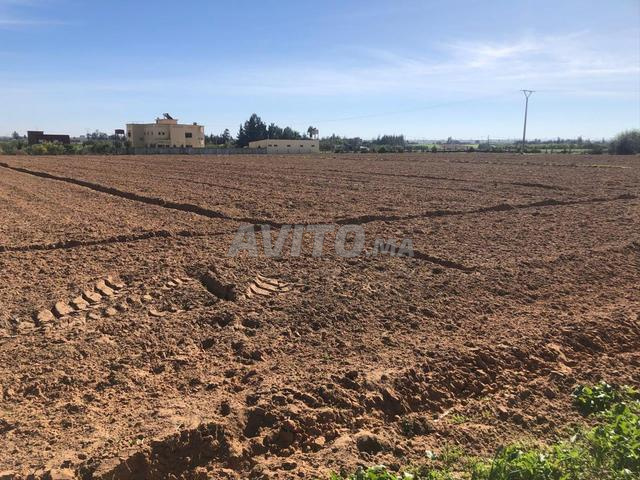 Terrain agricole Titré avec Puit et Électricité - 2