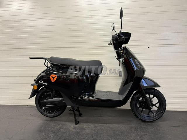 SCOOTER YADEA OWIN - 2