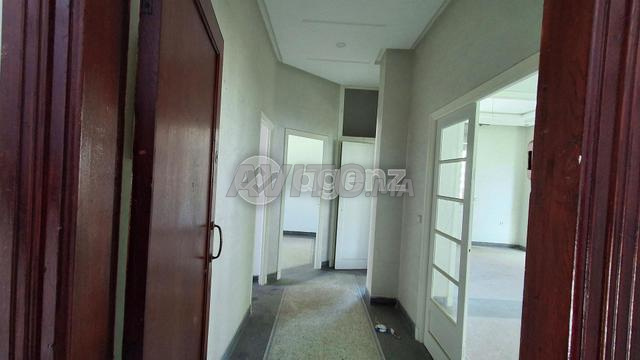 CMN-AS-1803 - Bureau à louer à Belvédère - 2