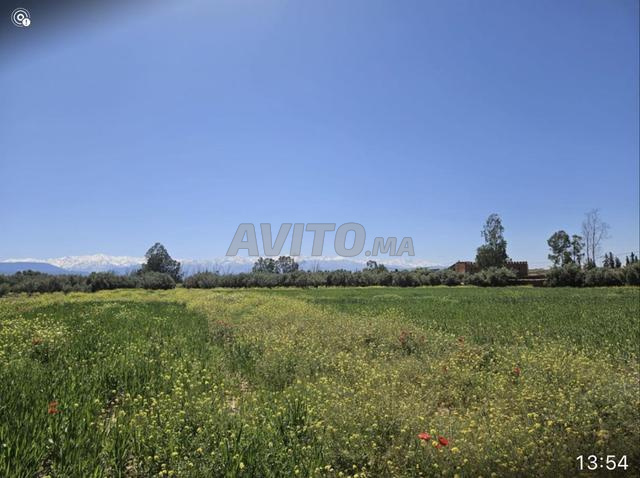 أرض لفيلا - 2