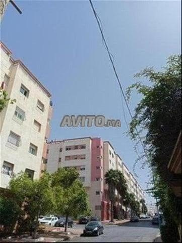 Cherchons Fille Partager Appart Meublé