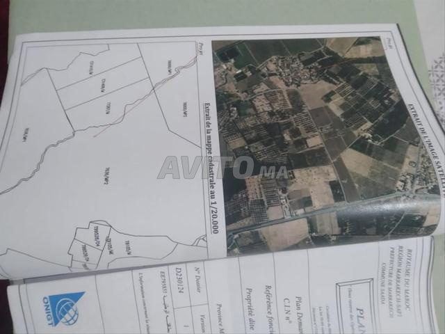 منطقة زراعية - 2