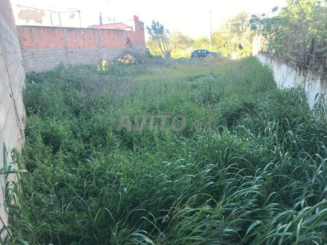 Tiflet proche à Boumbaziz route Sebta Aït Abbo