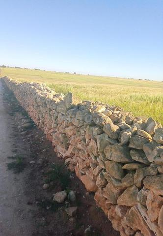 أرض فلاحية للبيع على طريق شوكية