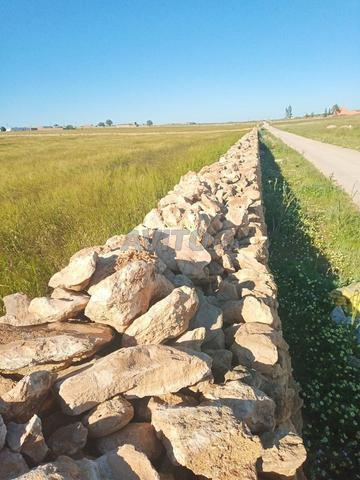 أرض فلاحية للبيع على طريق شوكية - 2