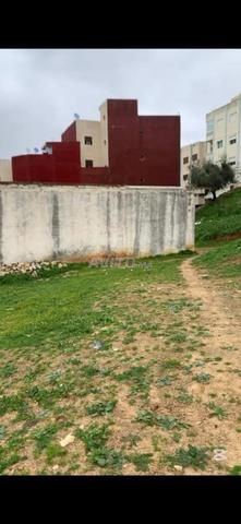 أرض للبيع تطوان بوجارة