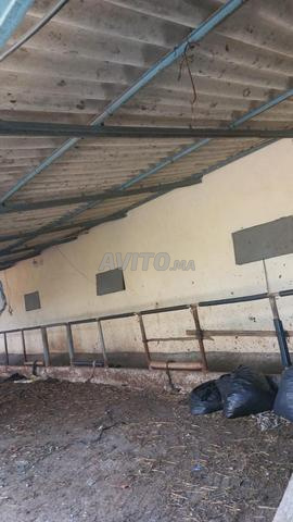 إيجار محل – عين جديوي (طنجة) - 2