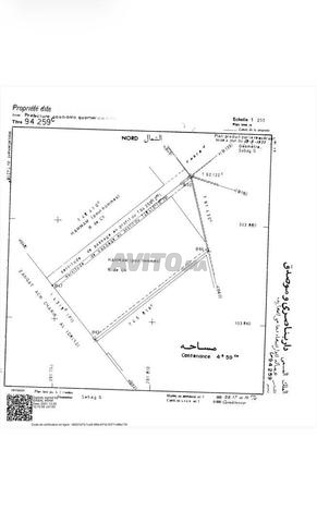 Terrain à vendre à Bir Anzarane - 2