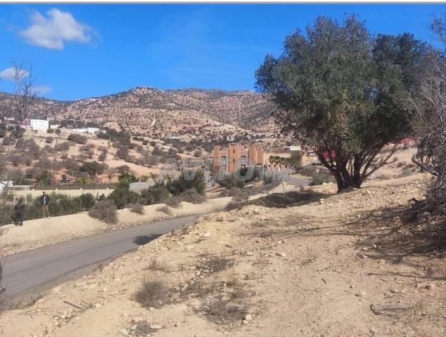 Terrains à vendre Amalou / Agadir