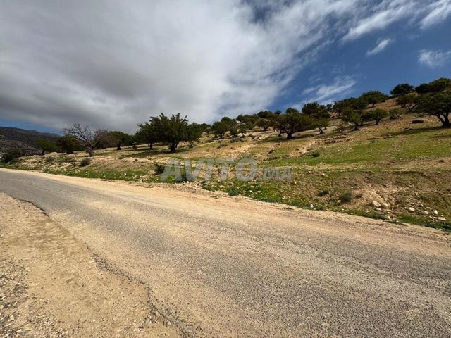 Terrains à vendre Amalou / Agadir - 2