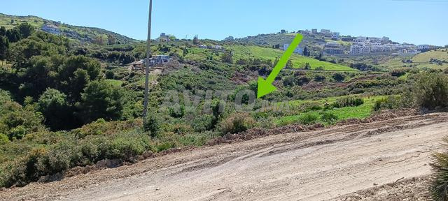 أرض مطلة على البحر والجبل - 2