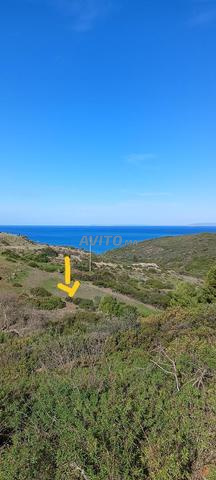 Terrain vue sur mer et montagne