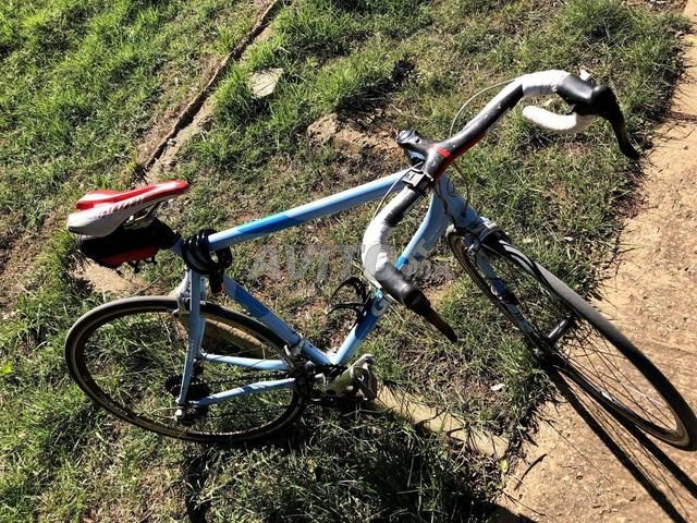 Demi fibre de carbone Giant Smith - 2