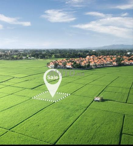 Terrain avec vue sur mer 10 000 m² à vendre