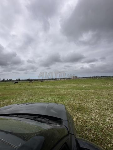 Terrain avec vue sur mer 10 000 m² à vendre
