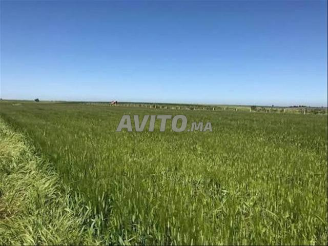 أراضٍ محفظة للبناء بإطلالة بحرية رائعة - 2