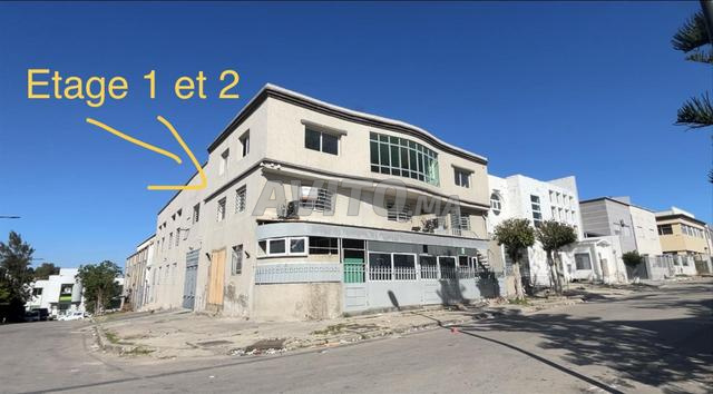 Local industriel à louer plus de 600 mètres