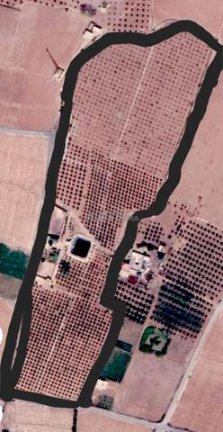 Terrain agricole à vendre - 2