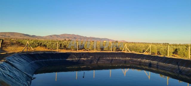 Terrain agricole à vendre