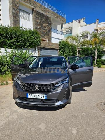 يرجى التواصل عبر الواتساب - 2