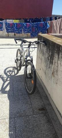 بيلا جيدة النوعية - 2