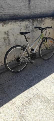 Picala de bonne qualité - 2