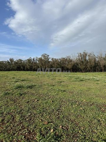 15000 mètre titre foncier emplacement super extraordinaire