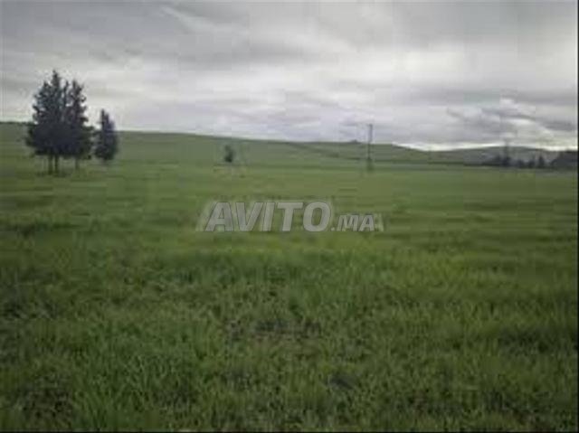 Terrains titrés à Bir Jdid à vendre pour l'agriculture et l'investissement