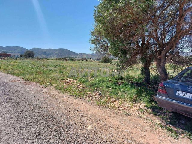 Terrain agricole, village Arkman Kebdana, douar Oulad Hamou Hadou - 2
