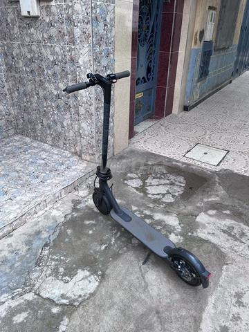 ترونيتينتي تاوامي