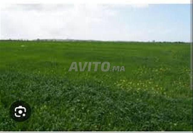 قطع أرضية محفظة للسكن تطل على البحر بسيدي رحال