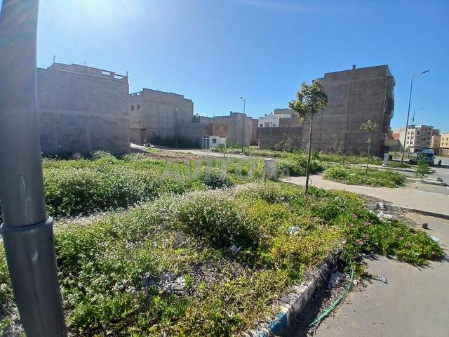 بقعة تجارية 154 متر بواجهتين، تجزئة مرجانة 4