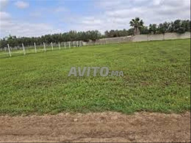 Terrain titré à vendre, vue mer – Sidi Rahal