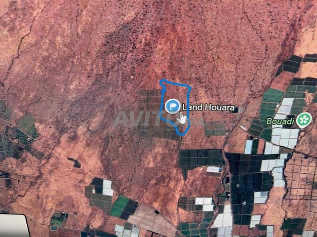 10.5 Hectare à vendre Bouria - 2