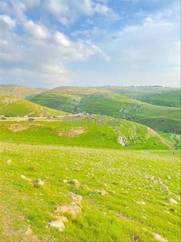 Terrain à vendre - 2