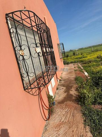 مزرعة ممتازة - 2