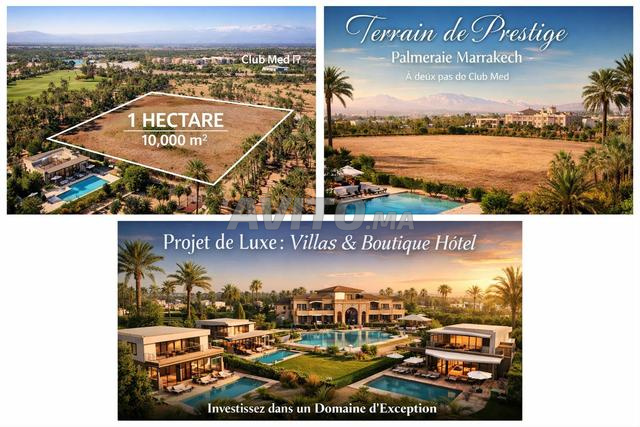 🏡 Terrain de Prestige à vendre – Palmeraie