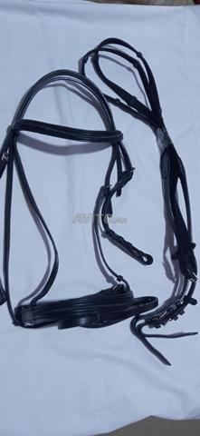 Filet d'équitation - 2