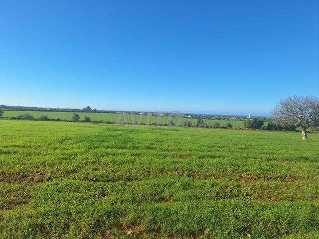 Terrain à vendre 5000 m² titré - 2