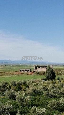 Ferme à vendre titre - 2