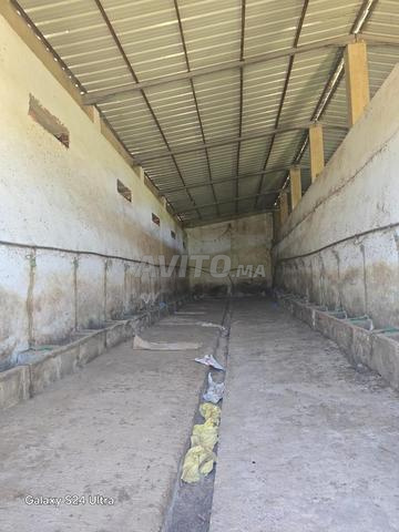 Location longue durée