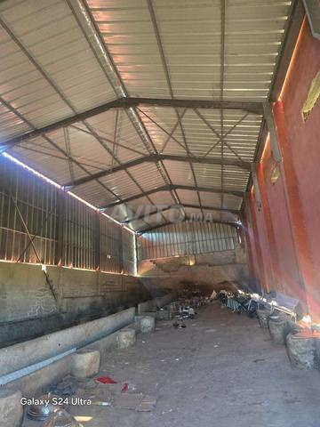 Location longue durée - 2