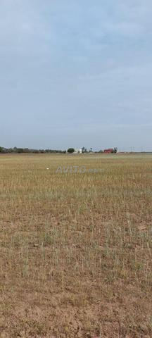 أراضي بجانب الطريق السريع - 2