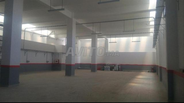 أرض للبيع - 2