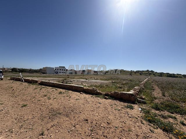 Terrain 2984 m² à vendre Tamanar – 750 000 DH - 2