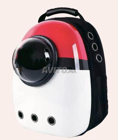 حقيبة ظهر لنقل القطط