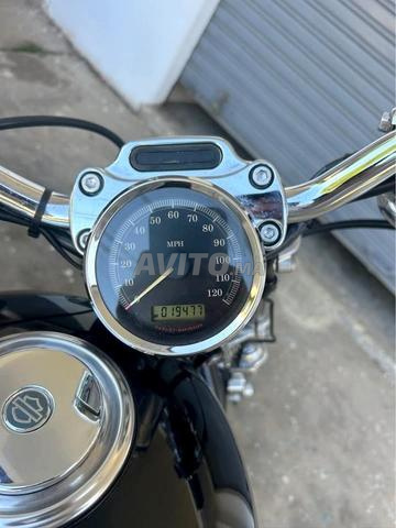 هارلي ديفيدسون 1200 XL - 2