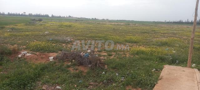 Terrain à vendre - 2