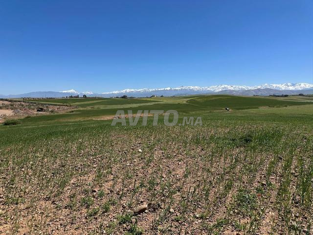 Terrain titré km 24 route d'Amizmiz